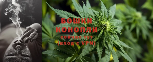 соль курить ск Богданович