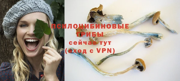 соль курить ск Богданович