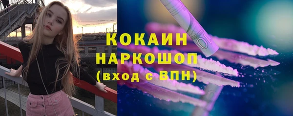стаф Богородск