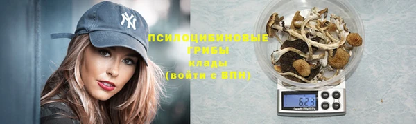 соль курить ск Богданович