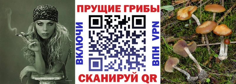 даркнет сайт  Ейск  МЕГА сайт  Псилоцибиновые грибы Magic Shrooms 